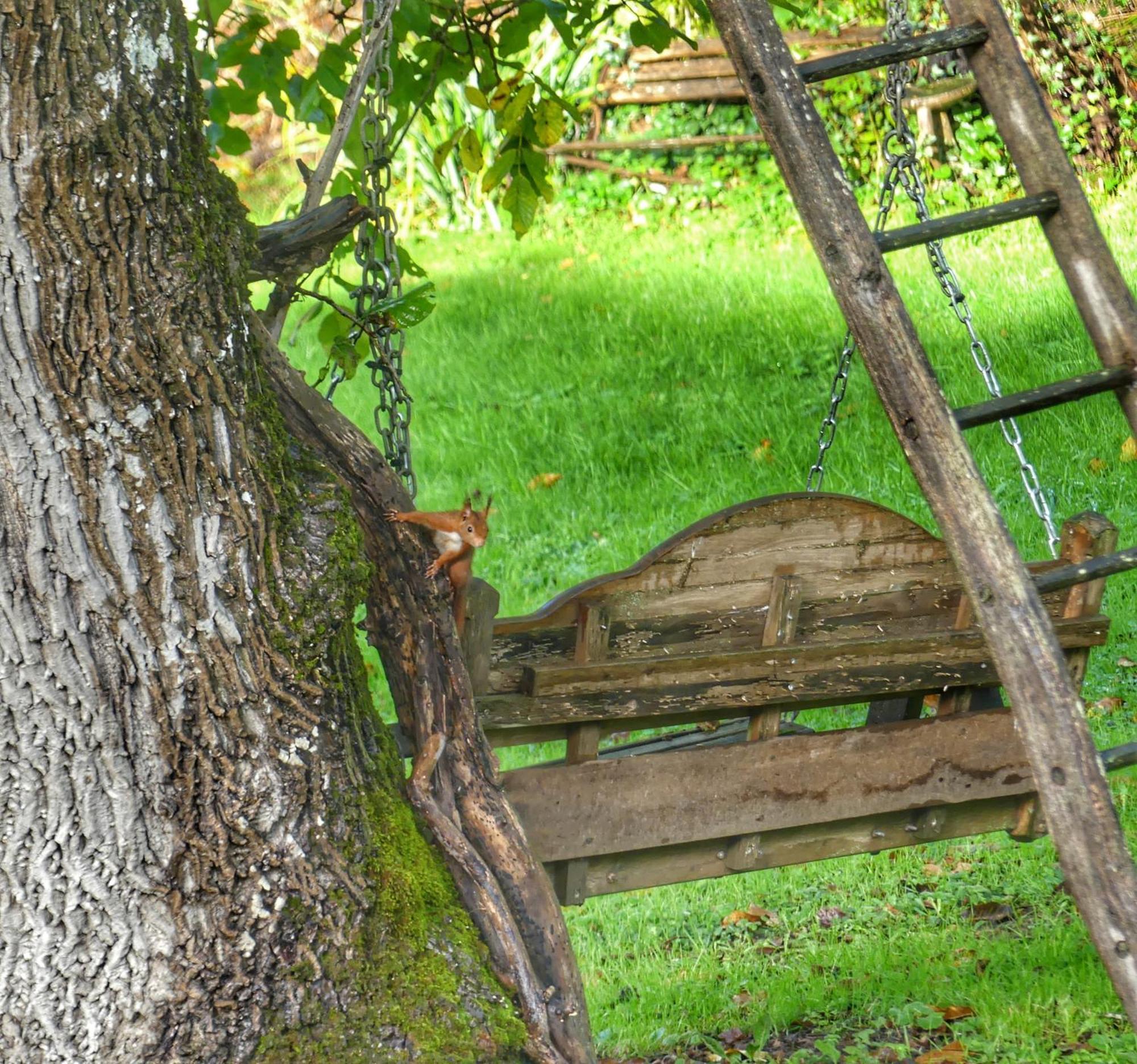 Bed and Breakfast Au Coeur Des Loges Saint-Bonnet-de-Bellac Екстер'єр фото